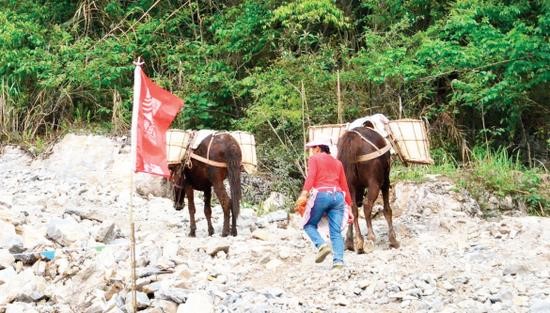 山西骡子运输队